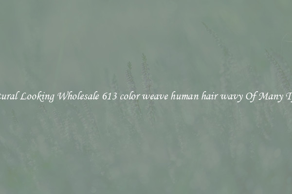 Natural Looking Wholesale 613 color weave human hair wavy Of Many Types