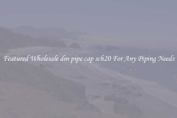 Featured Wholesale din pipe cap sch20 For Any Piping Needs