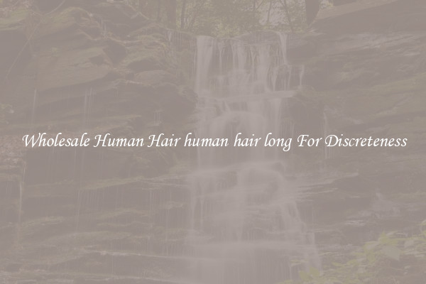 Wholesale Human Hair human hair long For Discreteness