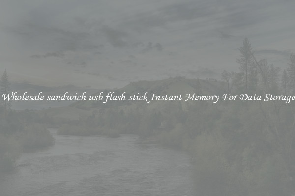 Wholesale sandwich usb flash stick Instant Memory For Data Storage