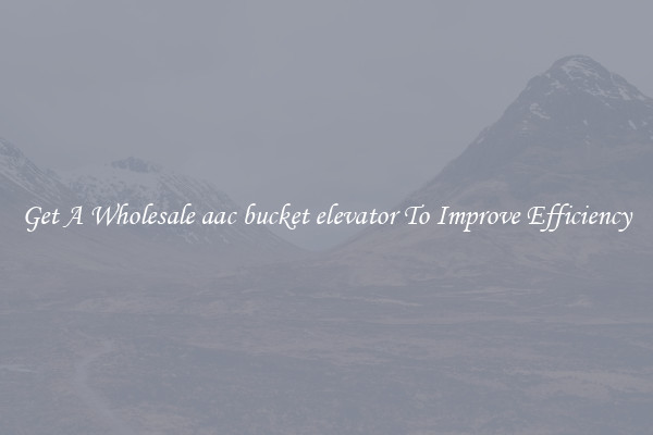 Get A Wholesale aac bucket elevator To Improve Efficiency