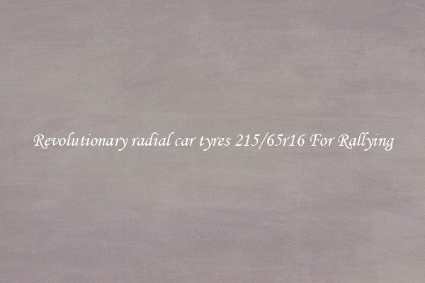 Revolutionary radial car tyres 215/65r16 For Rallying