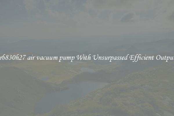2rb830h27 air vacuum pump With Unsurpassed Efficient Outputs
