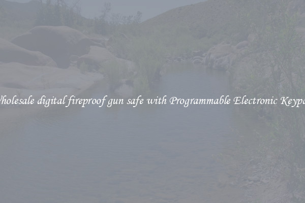 Wholesale digital fireproof gun safe with Programmable Electronic Keypad 