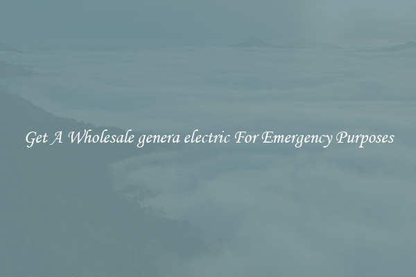 Get A Wholesale genera electric For Emergency Purposes