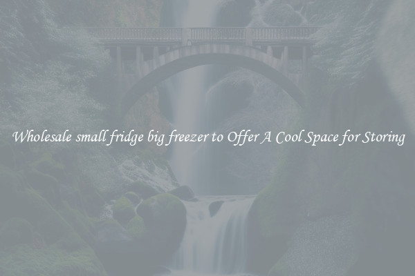 Wholesale small fridge big freezer to Offer A Cool Space for Storing
