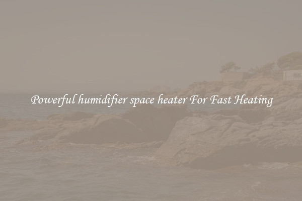 Powerful humidifier space heater For Fast Heating