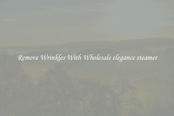 Remove Wrinkles With Wholesale elegance steamer