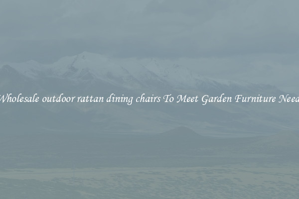 Wholesale outdoor rattan dining chairs To Meet Garden Furniture Needs