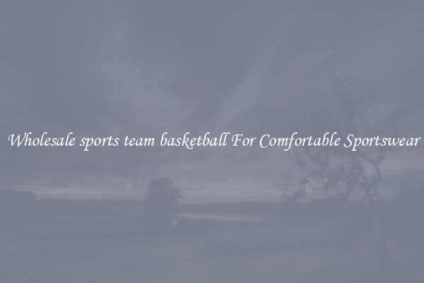 Wholesale sports team basketball For Comfortable Sportswear