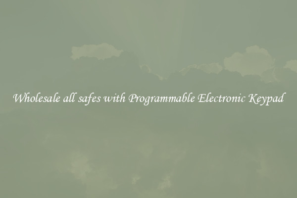 Wholesale all safes with Programmable Electronic Keypad 