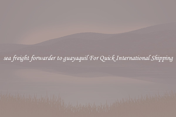 sea freight forwarder to guayaquil For Quick International Shipping