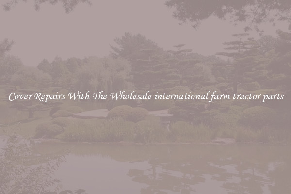  Cover Repairs With The Wholesale international farm tractor parts 