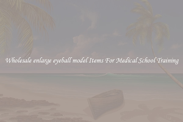 Wholesale enlarge eyeball model Items For Medical School Training