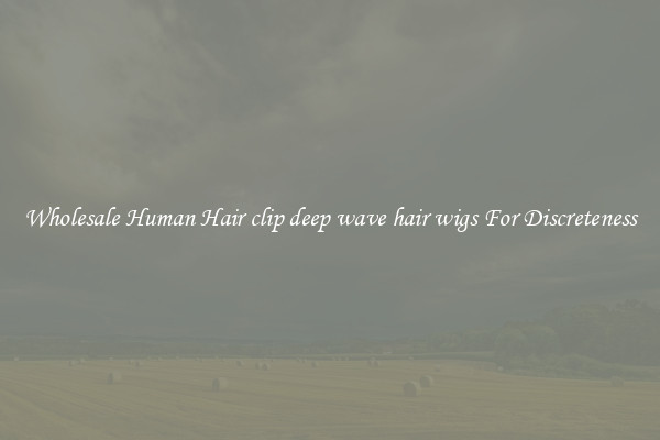 Wholesale Human Hair clip deep wave hair wigs For Discreteness