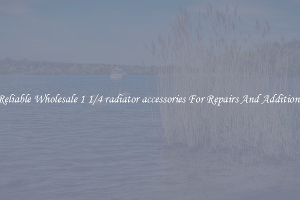 Reliable Wholesale 1 1/4 radiator accessories For Repairs And Additions