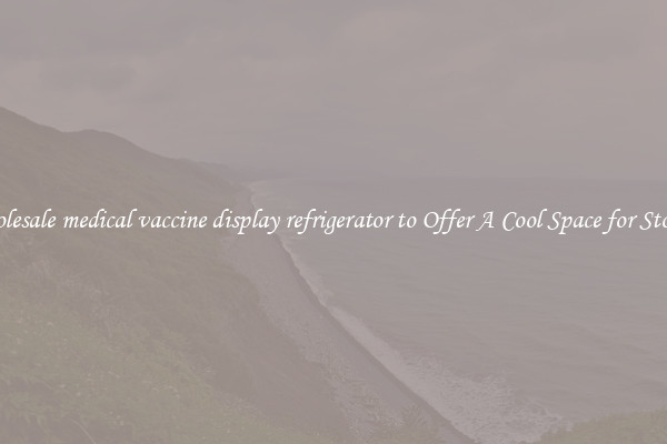 Wholesale medical vaccine display refrigerator to Offer A Cool Space for Storing